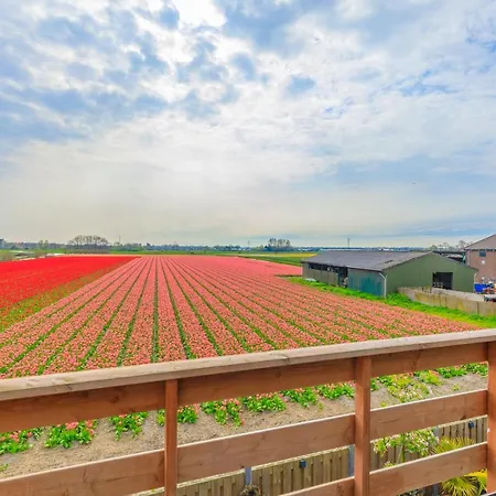 Blossom Bed & Breakfast Lisse