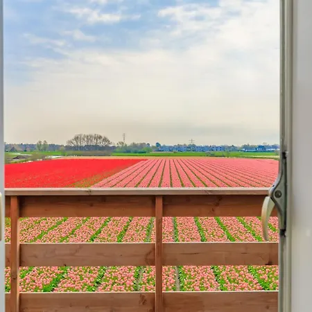 Bed & Breakfast Blossom Lisse