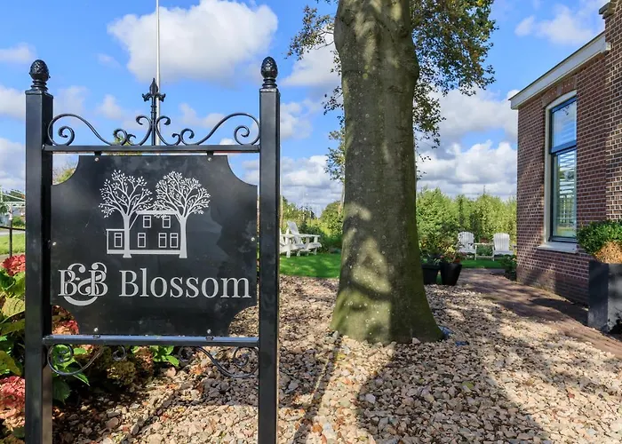 Alojamento de Acomodação e Pequeno-almoço Blossom