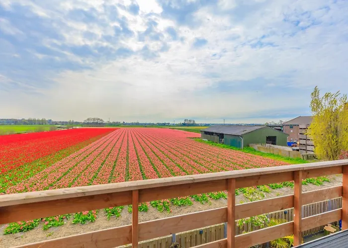 Blossom Bed & Breakfast Lisse