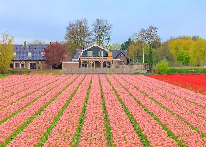 Bed & Breakfast Blossom Lisse