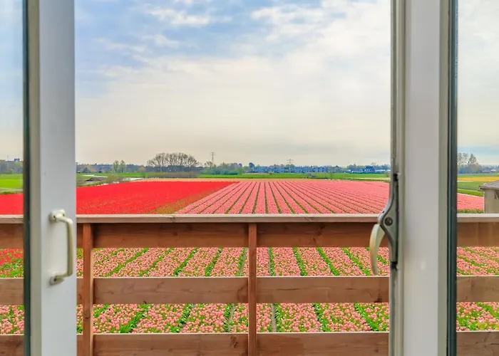 Bed & Breakfast Blossom Lisse