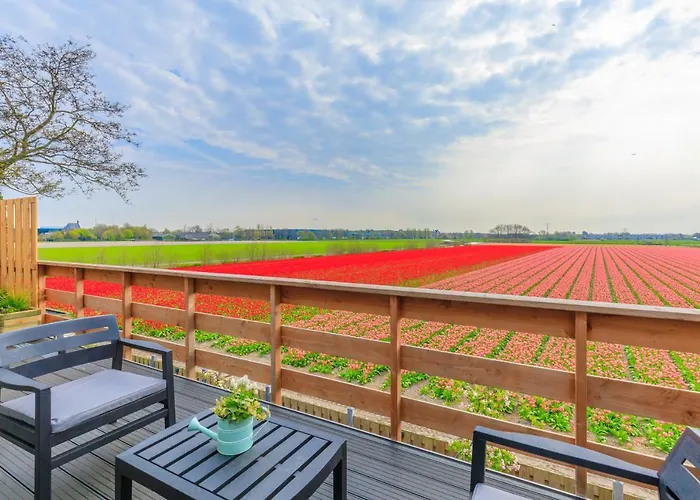 Blossom Bed & Breakfast