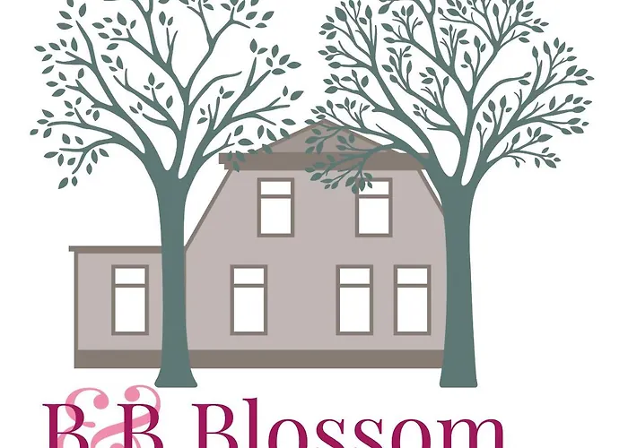 Alojamento de Acomodação e Pequeno-almoço Blossom 3*