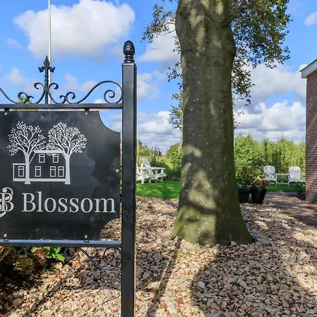 Nocleg ze śniadaniem Blossom