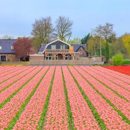 Bed & Breakfast Blossom Lisse