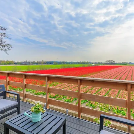 Blossom Bed & Breakfast